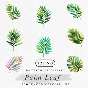 Watercolor Palm Leaf Clipart: Tropical Botanical PNG Bundle (Digital Download