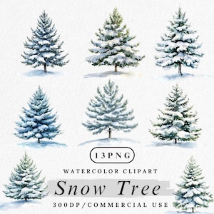Clipart di un pino innevato, PNG di una foresta invernale, illustrazione di un albero sempreverde ad acquerello, grafica di un bosco festivo, PNG di un albero innevato, digitale