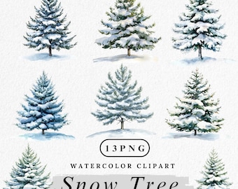 Watercolor Pine Tree Clipart: Winter Forest PNG (Digital Download, 13 Pngs)