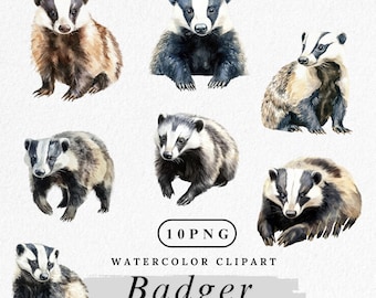 Watercolor Badger Clipart: Woodland Animal PNG, Commercial Use (Digital Download
