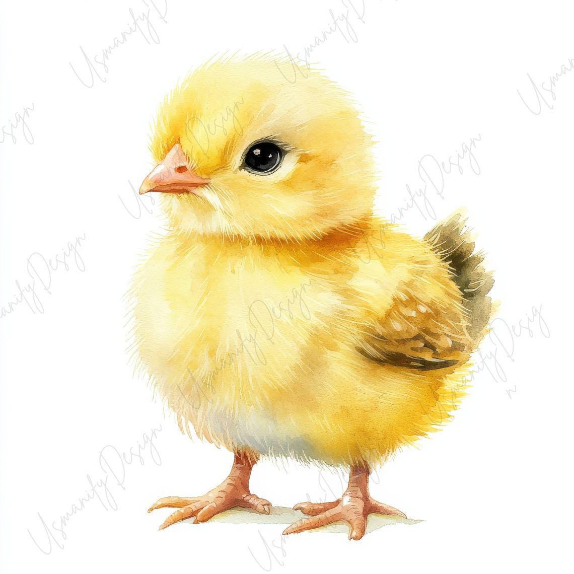 16 Watercolor Baby Chick Clipart JPG, Cute Easter Chick Illustration ...