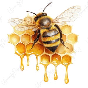 May include: Watercolor illustration of a honeybee on a honeycomb. The bee is detailed with yellow and black stripes, wings extended. The honeycomb is golden with dripping honey, creating a sweet and natural theme.