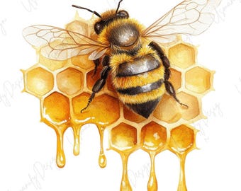 13 Watercolor Bee Clipart, Honeycomb PNG Bundle, Honey Bee Illustration, Nature Insect Art, Scrapbook Stickers, High-Quality PNG Set