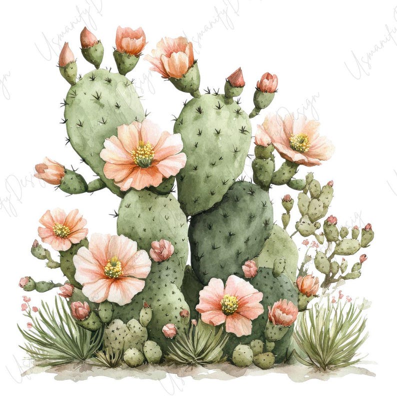 May include: Watercolor illustration of a cactus with light green pads and delicate peach-colored flowers. The image features various cacti, including prickly pear, with detailed shading and a soft, artistic style. The flowers have yellow centers.