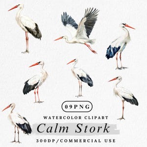Watercolor Stork Clipart: Baby Shower Nursery Art (PNG Digital Download)