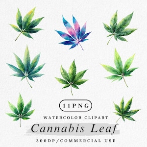 May include: A watercolour illustration featuring cannabis leaves in various shades of green, blue, and purple. The image includes the text "Cannabis Leaf" and "Watercolor Clipart". The leaves are set against a white backdrop.