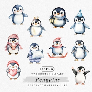 Penguin Clipart PNG, Cute Winter Penguin Characters, Watercolor Animal Character, Kawaii Penguin Art for Crafts, Decor and Digital Downloads