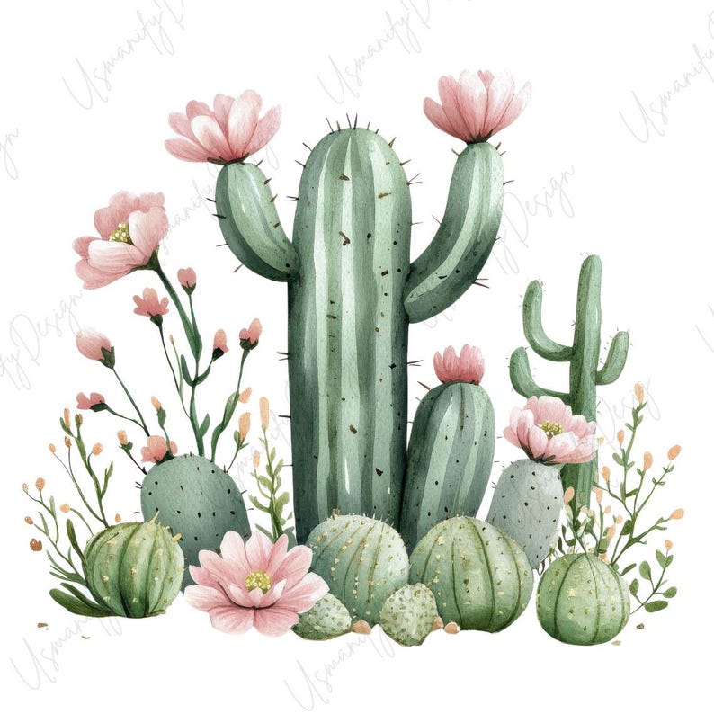 May include: Watercolor illustration of various cacti in shades of green, adorned with delicate pink flowers. The arrangement includes tall, columnar cacti and smaller, rounded ones, creating a desert botanical theme.