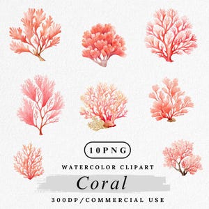 Akvarell korall Clipart: Ocean Reef PNG Set (Digital Nedladdning