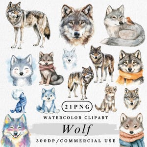 Wolf Clipart, Watercolor Wolf PNG, Forest Animal Clip Art, Baby Wolf Clipart, Wild Animal PNG, Woodland Wolf Art, Paper Crafting