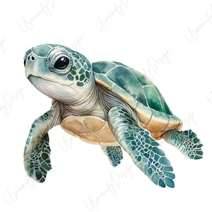May include: A watercolour illustration of a sea turtle in teal, green, and tan. The turtle has a detailed shell pattern and is shown swimming. The artwork has a soft, artistic style, suitable for ocean-themed decor.