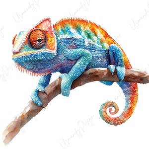 Peut inclure: Peinture à l'aquarelle d'un caméléon perché sur une branche. Le caméléon présente une palette de couleurs vives : orange, rouge, bleu et turquoise. Sa queue enroulée et ses griffes détaillées sont visibles. L'œuvre est sur fond blanc.