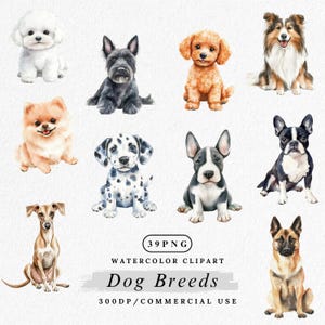 Dog Breeds Clipart PNG, Puppy Illustration,  Labrador and French Bulldog PNG, Dog Clip Art,  Dog Lover, Dog Breed Watercolor, Canine Clipart