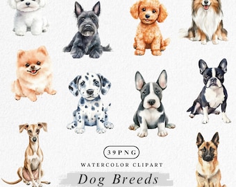 Dog Breeds Watercolor Clipart: Puppy Illustrations (PNG Digital Download)