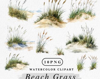 Imágenes prediseñadas de hierba de playa en acuarela: paisaje costero PNG (uso comercial, descarga digital)