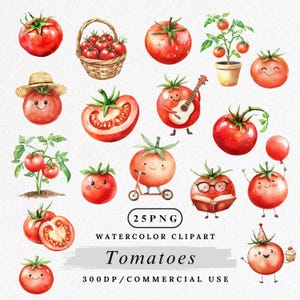 Tomato Clipart Bundle, Cute Tomato Character PNGs, Cartoon Vegetable Clipart, Kawaii Tomato Clipart, Watercolor Tomato PNG, Funny Tomato