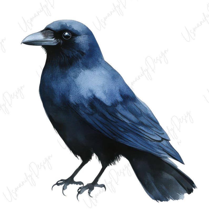 May include: Watercolor illustration of a crow in shades of blue and black. The bird is depicted in a side profile, with detailed feathers and a sharp beak. The artwork has a soft, artistic style, perfect for wall art or home decor.
