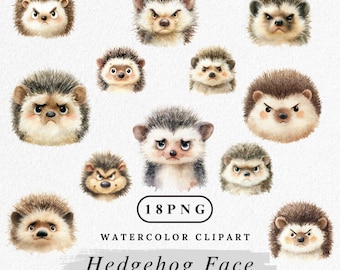 Hedgehog Face Clipart, Cute Hedgehog PNG Bundle, Watercolor Hedgehog Illustration, Smiling Hedgehog Clip Art, Woodland Animal PNG, Digital
