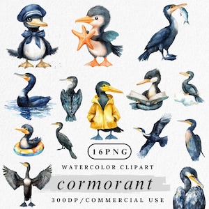 Clipart di cormorani, PNG di cormorani acquerellati, clipart di uccelli costieri, illustrazioni di uccelli marini, pacchetto PNG di uccelli costieri, clipart di animali marini