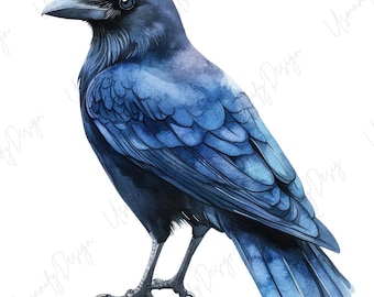 19 Watercolor Crow Clipart PNG, Raven Bird Bundle, Gothic Crow PNG Set, Dark Bird, Junk Journal, Paper Craft, High Resolution PNG