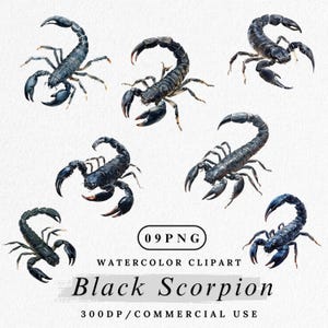 Czarny Skorpion Clipart, Akwarela Owad PNG, Skorpion Clipart, Pustynne Zwierzę Clipart, Gotycka Grafika Robacza, Cyfrowe, Użytek Komercyjny