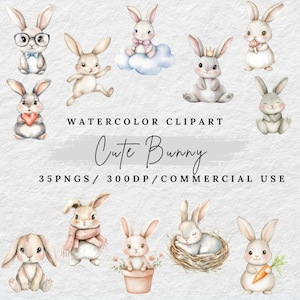 Watercolor Bunny Clipart, Cute Rabbit PNG, Spring Bunny Illustration, Floral Bunny Aesthetic, Woodland Animal PNG, Digital Download