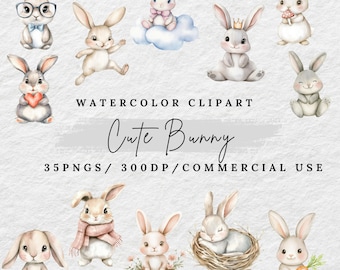 Clipart aquarel konijn, schattig konijn png, illustratie lentehaas, bloemen konijntje esthetiek, bosdier png, digitale download