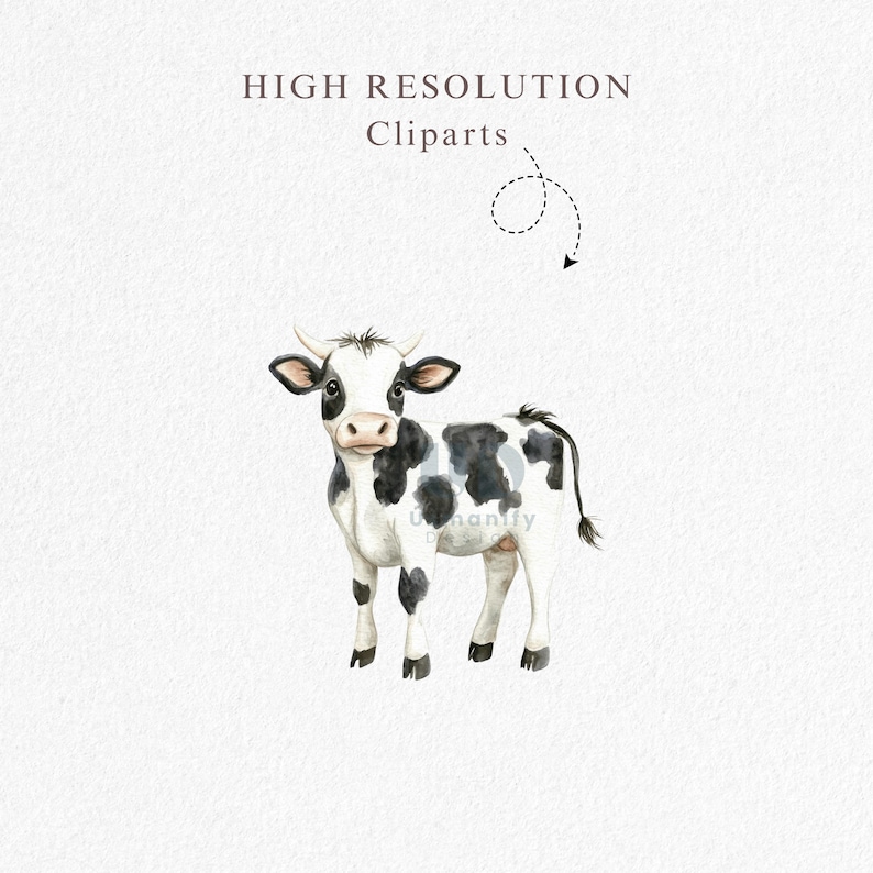 May include: A watercolor illustration of a black and white cow with a white face and black spots. The cow is standing on a white background.