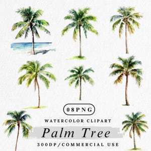 Clipart palmier, aquarelle arbre tropical PNG, Illustration de plage d'été, plante côtière Clip Art, feuillage de la jungle PNG, téléchargement numérique