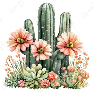 May include: Watercolor illustration of a desert scene featuring a cluster of green cacti with pink and orange flowers. The image includes succulents and other desert plants, creating a vibrant and detailed botanical design.