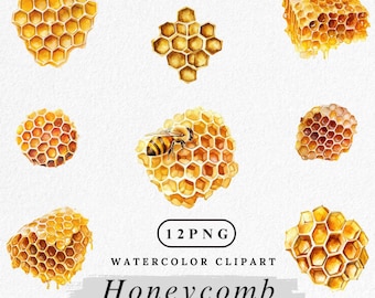 Watercolor Honeycomb Clipart: Bee Themed Hexagon Graphics (Digital Download)