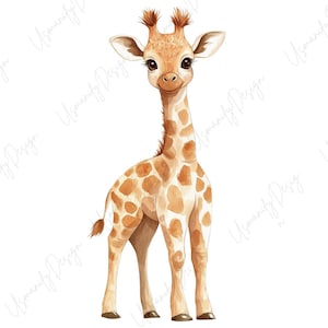19 akvarell giraff clipart, söt giraffunge PNG-paket, safaridjur, djungelkonst för barnkammaren, scrapbookklistermärken, högkvalitativt PNG-set