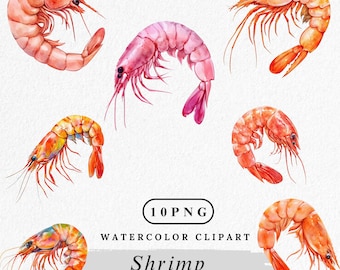 Watercolor Shrimp Clipart: Seafood Illustration, Coastal Decor (Digital Download, Commercial Use)