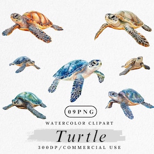 Schildkröte Clipart, Aquarell Meeresschildkröte PNG, Ozean Tier Illustration, Schildkröte Clip Art, Strand Wildtiere Grafik, digitaler Download