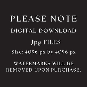 Pu&ograve; includere: Sfondo nero con testo bianco che recita "PLEASE NOTE DIGITAL DOWNLOAD Jpg FILES Dimensioni: 4096 px per 4096 px I FILIGRANE SARANNO RIMOSSI DOPO L'ACQUISTO."