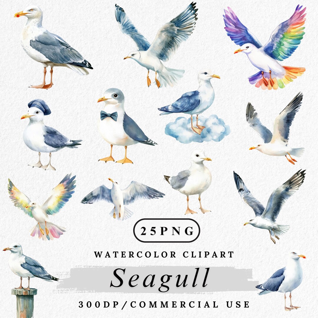 Watercolor Seagull Clipart: 25 Coastal Bird PNG Images (digital ...