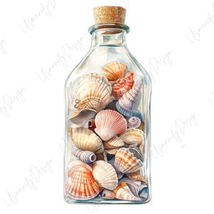 May include: A clear glass bottle filled with a variety of seashells, including conch shells and spiral shells. The shells are in shades of orange, pink, and white. The bottle is sealed with a cork.