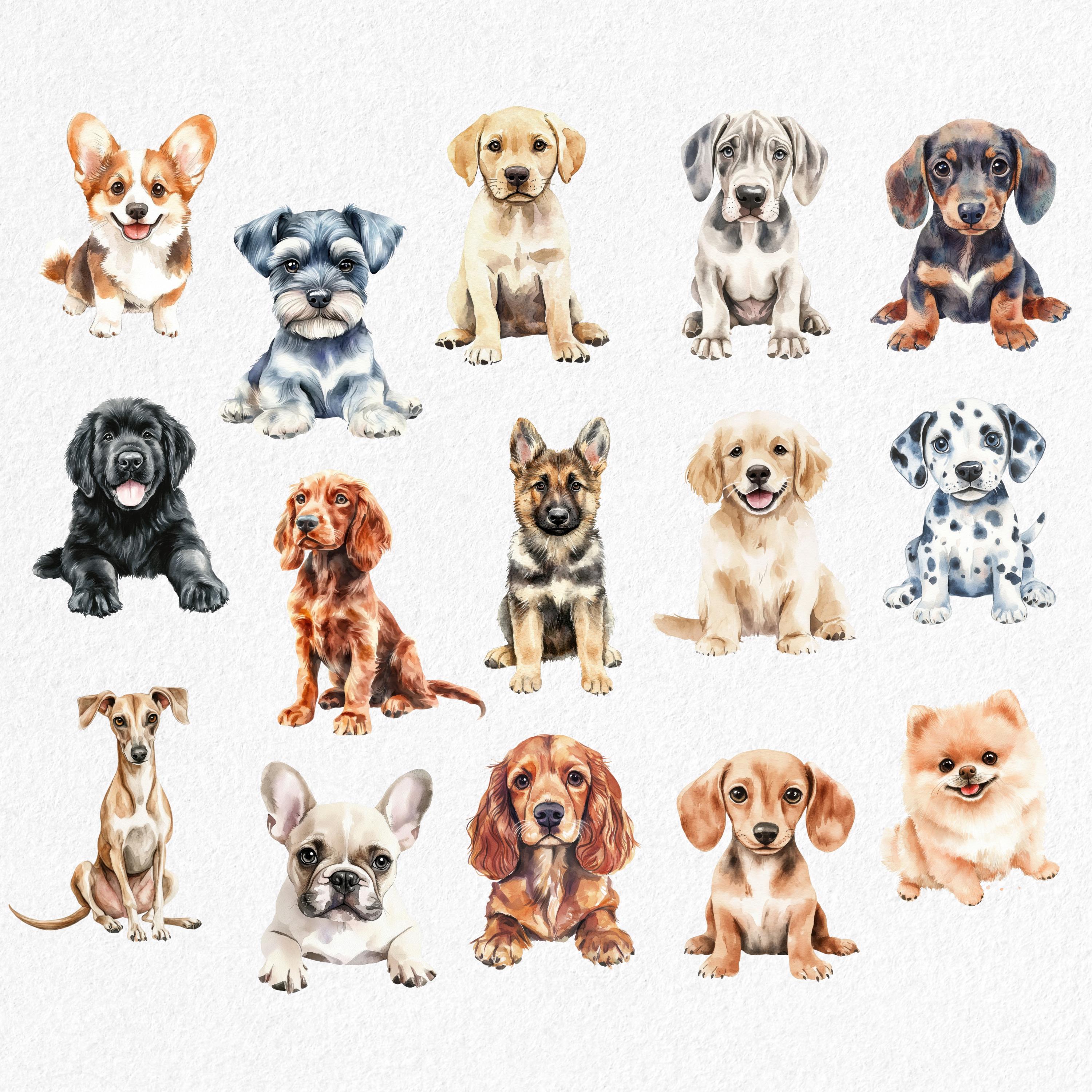 Dog Breeds Watercolor Clipart: Puppy Illustrations (PNG Digital ...