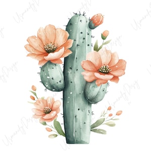 May include: Watercolor illustration of a saguaro cactus with peach-colored flowers and buds. The cactus is a muted green color with black spines. The flowers have a detailed center and are surrounded by green leaves and small buds. The background is white.