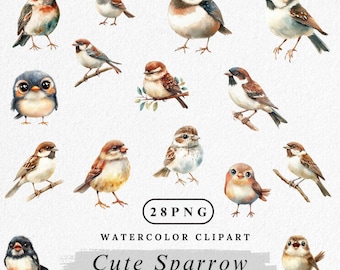 Cute Sparrow Clipart: Watercolor Bird PNG Bundle, Adorable Wildlife Illustration Digital Download, Cartoon Sparrow Clip Art, Commercial Use