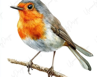 15 Watercolor Robin Clipart, Red Breast Bird, Woodland Animal Art, Nature Decor Printable, Junk Journal, Paper Craft, High-Quality JPGs