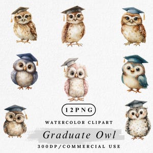 Watercolor Graduate Owl Clipart: School Achievement PNG (Digital Download)