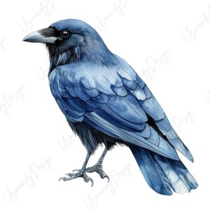 May include: Watercolor illustration of a blue raven with a black beak and eye. The bird is depicted in a side profile, showcasing its detailed feathers and sharp claws. The artwork has a soft, artistic style.