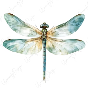 May include: Watercolor illustration of a dragonfly with blue and green wings and a blue body. The dragonfly's wings have a delicate, translucent quality, with subtle shading and details. The dragonfly is a nature-themed design.
