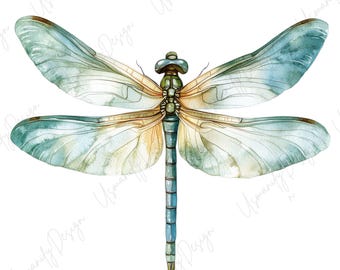 20 Watercolor Dragonfly Clipart, Dragonfly JPG Art, Insect Illustration, Nature Printable, Botanical Dragonfly Art, Scrapbook Design