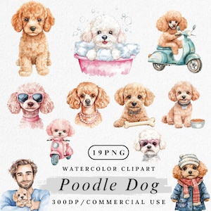 Poodle Dog Clipart Bundle, Watercolor Poodle Characters PNG, Cartoon Dog Graphics, Puppy Clip Art for Kids Crafts, Digital Download