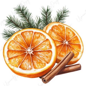 May include: Watercolor illustration of two orange slices, green pine needles, and two cinnamon sticks. The orange slices are bright orange with white segments. The cinnamon sticks are brown. The pine needles are green.