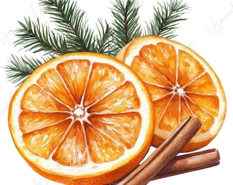 Può includere: Illustrazione ad acquerello di due fette d'arancia, aghi di pino verdi e due bastoncini di cannella. Le fette d'arancia sono arancioni brillanti con segmenti bianchi. I bastoncini di cannella sono marroni. Gli aghi di pino sono verdi.