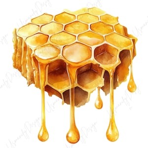 May include: Watercolor illustration of a honeycomb with dripping honey. The honeycomb is a golden yellow color, with individual cells visible. Honey drips down in thick, glistening strands, with large droplets at the ends.