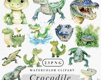 Aquarell Krokodil Clipart: Dschungeltier PNGs (Digital Download, 23 Dateien